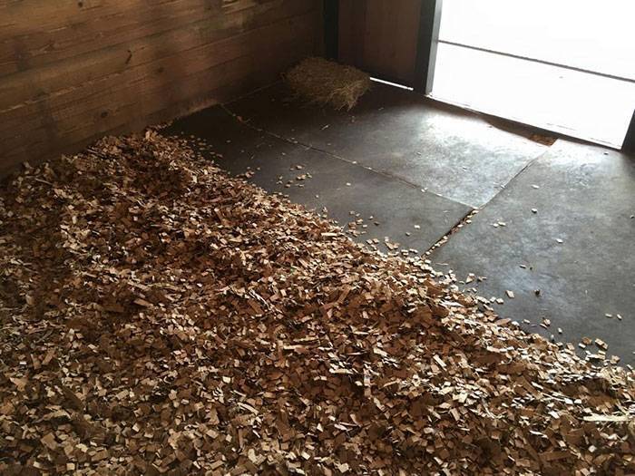Equine Safe also Pet Use Recycled Cardboard Shavings For Horse Bedding 